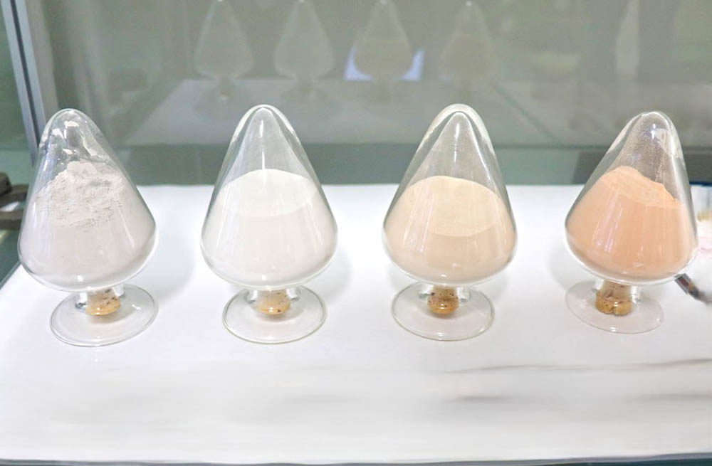 研究分野について画像