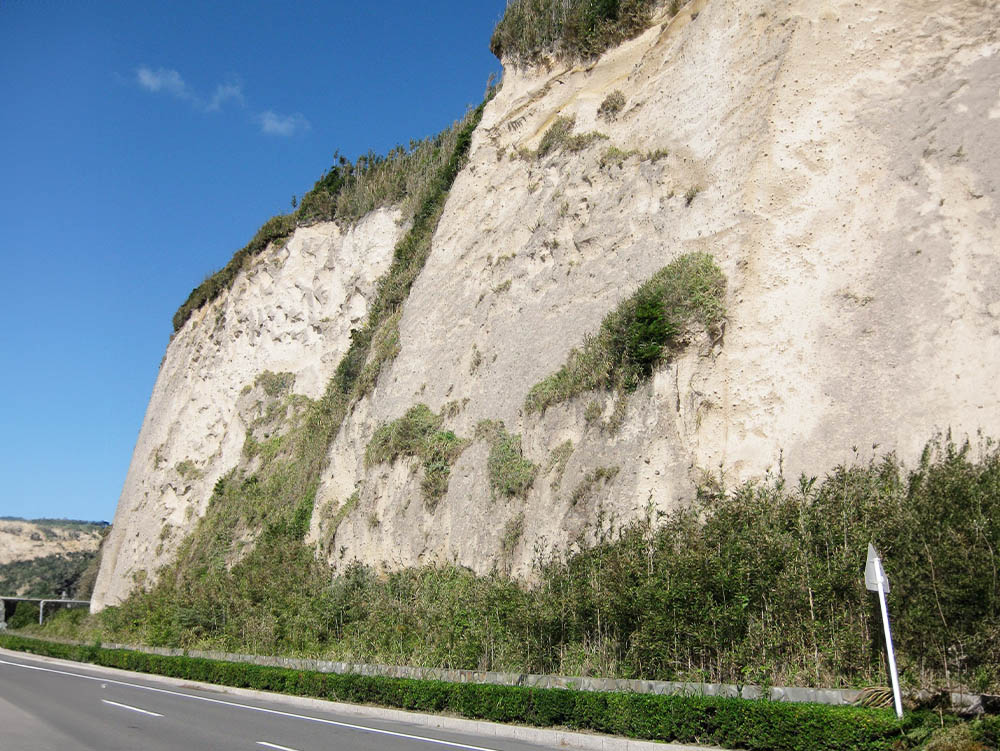 シラス素材の研究開発画像