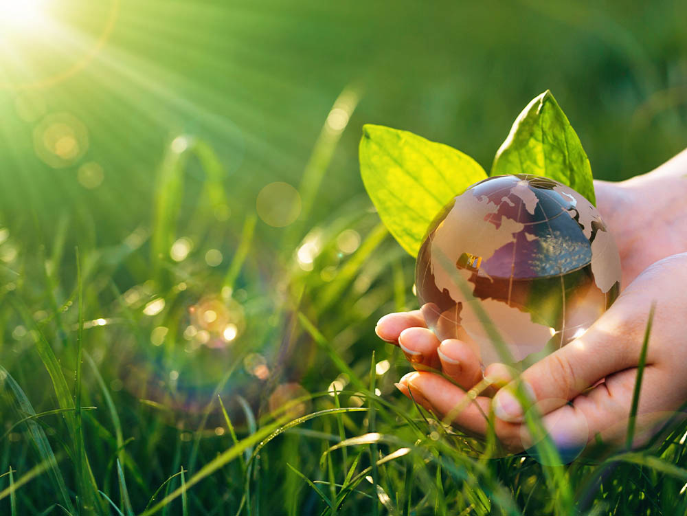 シラス素材の研究開発画像